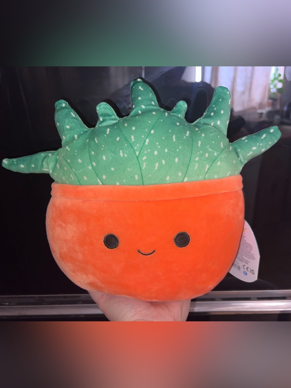Squishmallow OZ Aloe Vera